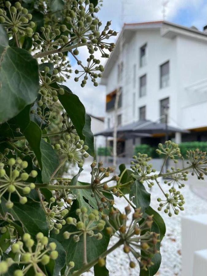 Zuia Suites Murguía Eksteriør billede